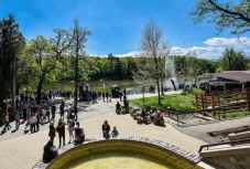 Ha nem használ autót, két napig ingyen mehet állatkertbe Nagyszebenben