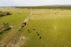 Erdély legjei – Szatmár megye: a Szatmári Termék brand (VIDEÓ)