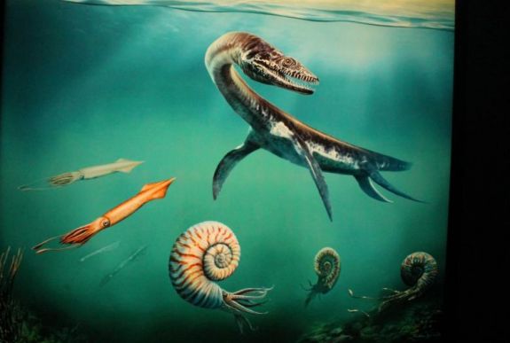 Mamutcsontok és érintőképernyők egy helyen a nagyváradi Körösvidéki Múzeumban