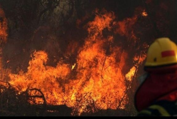 Jaguárok rezervátumát fenyegetik a brazíliai tüzek