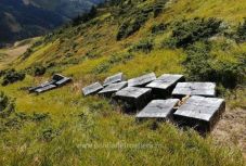 Közel 90 ezer lej értékű csempészcigarettát foglaltak le a Máramarosi-havasokban