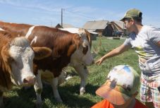 Erdély legjei – Kovászna megye: a Kézdi tejszövetkezet (VIDEÓ)