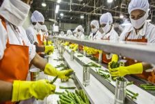 11 milliárd euró deficitet termelt kilenc év alatt a román élelmiszer-külkereskedelem