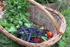 Méz, friss zöldség, gyümölcs, tyúk- és fürjtojás kerül Csíkban a „kicsi kosárba”