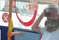 Kígyót használt maszk helyett egy utas egy buszon Angliában