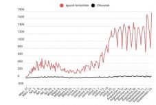 Koronavírus Romániában: ismét rekordot döntött az igazolt új esetek száma