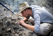 Azonosították az első magyarországi dinoszaurusztojás-leletet