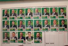 Bihar megyében 21 településen nyert az RMDSZ