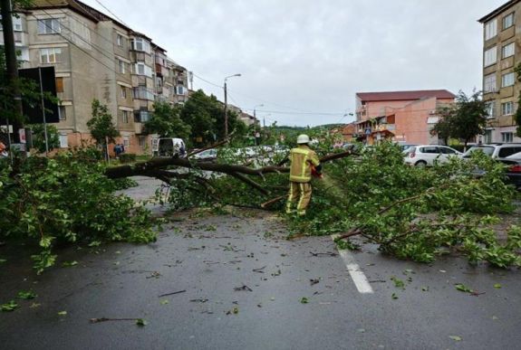 Fákat, oszlopokat döntött ki a szélvihar Bihar megyében