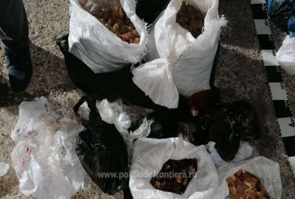 Kétszázötven kilogramm borostyánnal ralizott a kettős állampolgárságú csempész