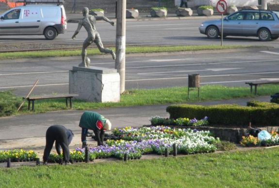 Megszavazták az RMDSZ-javaslatot: az önkormányzatok foglalkoztathatnak napszámosokat