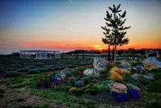 A Bihar megyei Vaskohsziklás és Bors is felkerülhet a turisztikai települések listájára