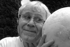 Ambrus Attila: Aktorból redaktor