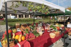 Gyümölcs- és zöldségtermelők is pályázhatnak Hargita Megye Tanácsa Vidékfejlesztési Egyesületénél (X)