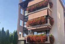 Kolozsvár virágosabb lett a járvány alatt, de még van mit szépíteni rajta