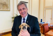 Marcel Vela: jóváhagyta a kormány az állatrendőrség létrehozását