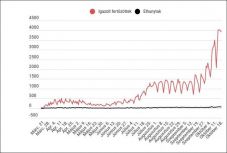 Koronavírus Romániában: az elmúlt napban végzett tesztek húsz százaléka mutatott pozitív eredményt