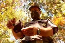 Világháborús osztrák-magyar katona maradványaira bukkantak Olaszországban