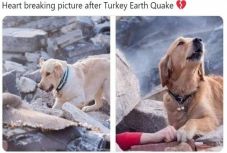 Egyre több áldozata van az égei-tengeri földrengésnek