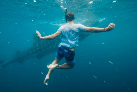 Cápatámadásban halt meg egy férfi Nyugat-Ausztráliában