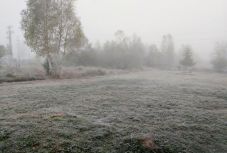 Sűrű ködre és erős szélre figyelmeztetnek vasárnap délelőtt a meteorológusok