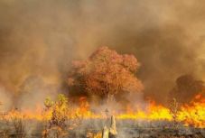Nagyobb erdőtüzek pusztítanak Brazíliában, mint tavaly, amikor mindenki erről beszélt