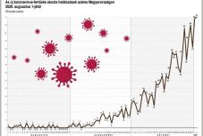 Koronavírus: ismét rekordot döntött az elhunytak száma Magyarországon