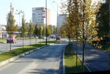 Borsos áron ültettet facsemetéket a nagyváradi önkormányzat