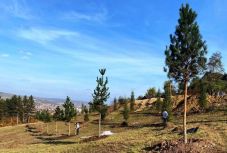 Háromszorosára nő, és interaktív résszel bővül a kolozsvári falumúzeum