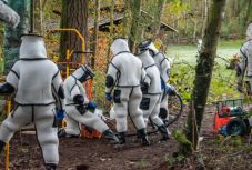 Részleteket árultak el az Egyesült Államokban talált ázsiai óriás lódarazsakról