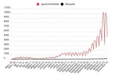 Koronavírus Romániában: az elvégzett tesztek közel fele mutatott pozitív eredményt   