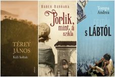 Vallasek Júlia a Trianon-történetekről: az irodalom segíthet feloldani a traumát