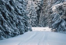 Időjárás: havazni fog a hegyekben, jelentősen lehűl az idő országszerte