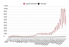 Koronavírus Romániában: 7753 új esetet igazoltak az elmúlt 24 órában   