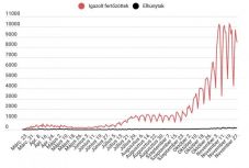 Koronavírus Romániában: a tesztek 23 százaléka lett pozitív, több mint nyolcezer új eset van 