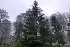 Csak részben tartják online az adventi ünnepségeket Csíkszeredában