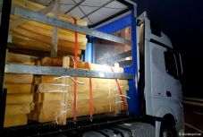 Romániából Németországig utaztak a fatörzsrakományba rejtőzve