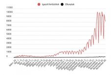Koronavírus Romániában: ismét csökkent az aktív fertőzéses esetek száma