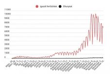 Koronavírus Romániában: továbbra is 7000 fölött van az új fertőzéses esetek száma