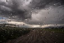 Sárga riasztást adtak ki tíz megyére a várható esőzések és havazás miatt