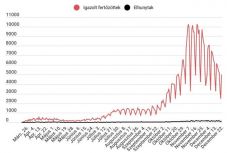 Koronavírus Romániában: 5009 új esetet igazoltak, közel 24 ezer tesztet végeztek  