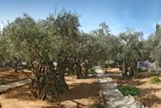 2000 éves jeruzsálemi lelet utal a Gecsemáné-kert nevének eredetére