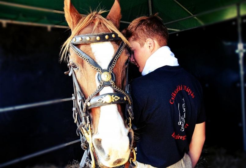 Huszárok, csikósok, lovak nyelvén beszélők – belestünk a Székelyföldi Lovas Ünnep kulisszái mögé is 