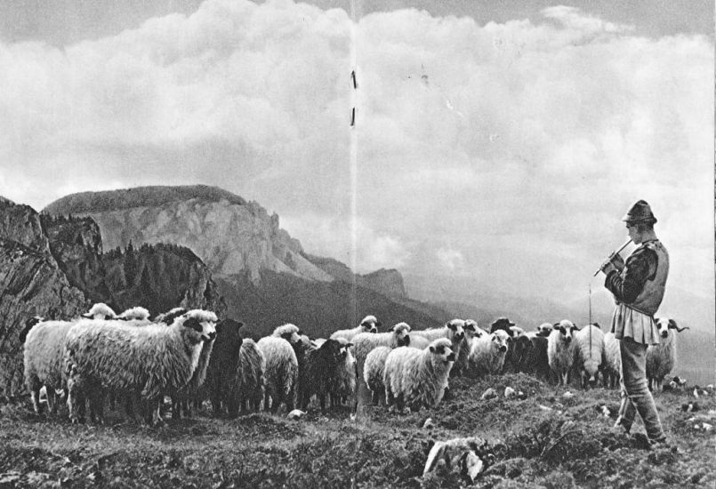 Székelyföld mint „tündérkert” – Andory Aladics Zoltán fotográfiái egy 1941-es útikönyvben