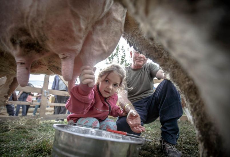 Amikor beköltözik a falu a városba – Csíkszeredában fotóztunk