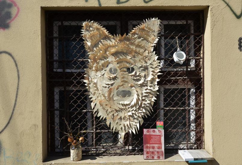 Ilyen volt a 7. Kolozsvári Ünnepi Könyvhét első délutánja