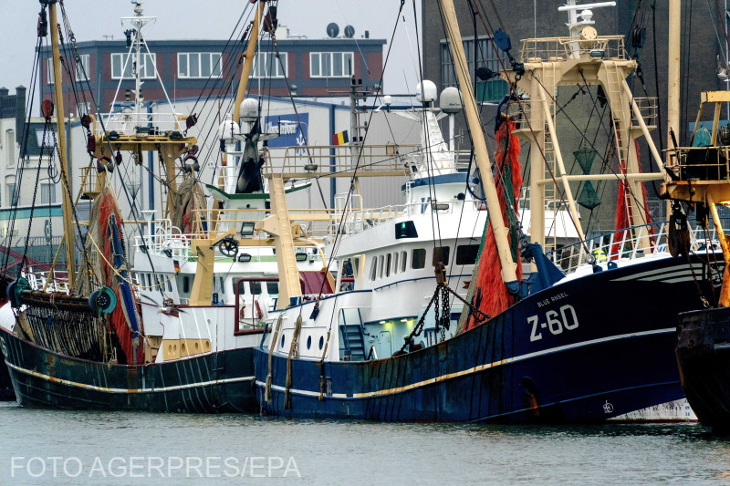 Halászhajók egy holland kikötőben december 28-án | Fotó: Agerpres/EPA