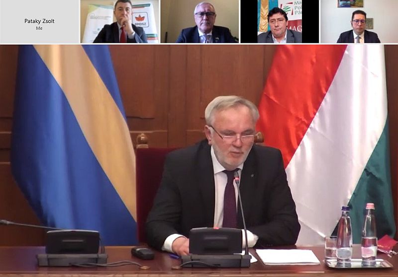 Pánczél Károly bizottsági elnök az online sajtótájékoztatón | Képernyőmentés