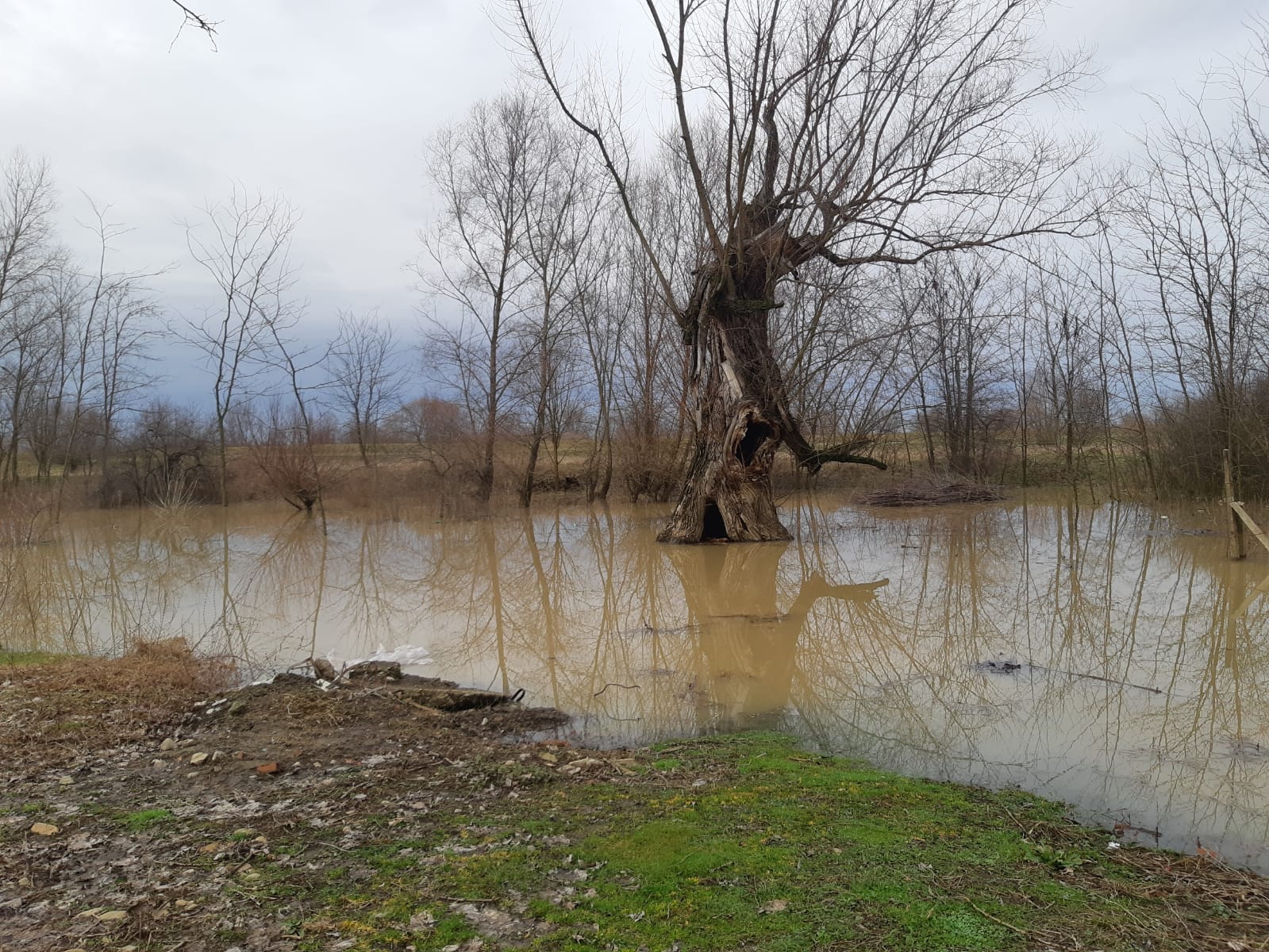 A megáradt folyók visszaduzzasztják a mellékágaikat, ez történik Szalárdnál is, ahol a Berettyó vízhozam-növekedése miatt a Danca patak is veszélyezteti a házakat és gazdaságokat | Fotó: Elek Brigitta