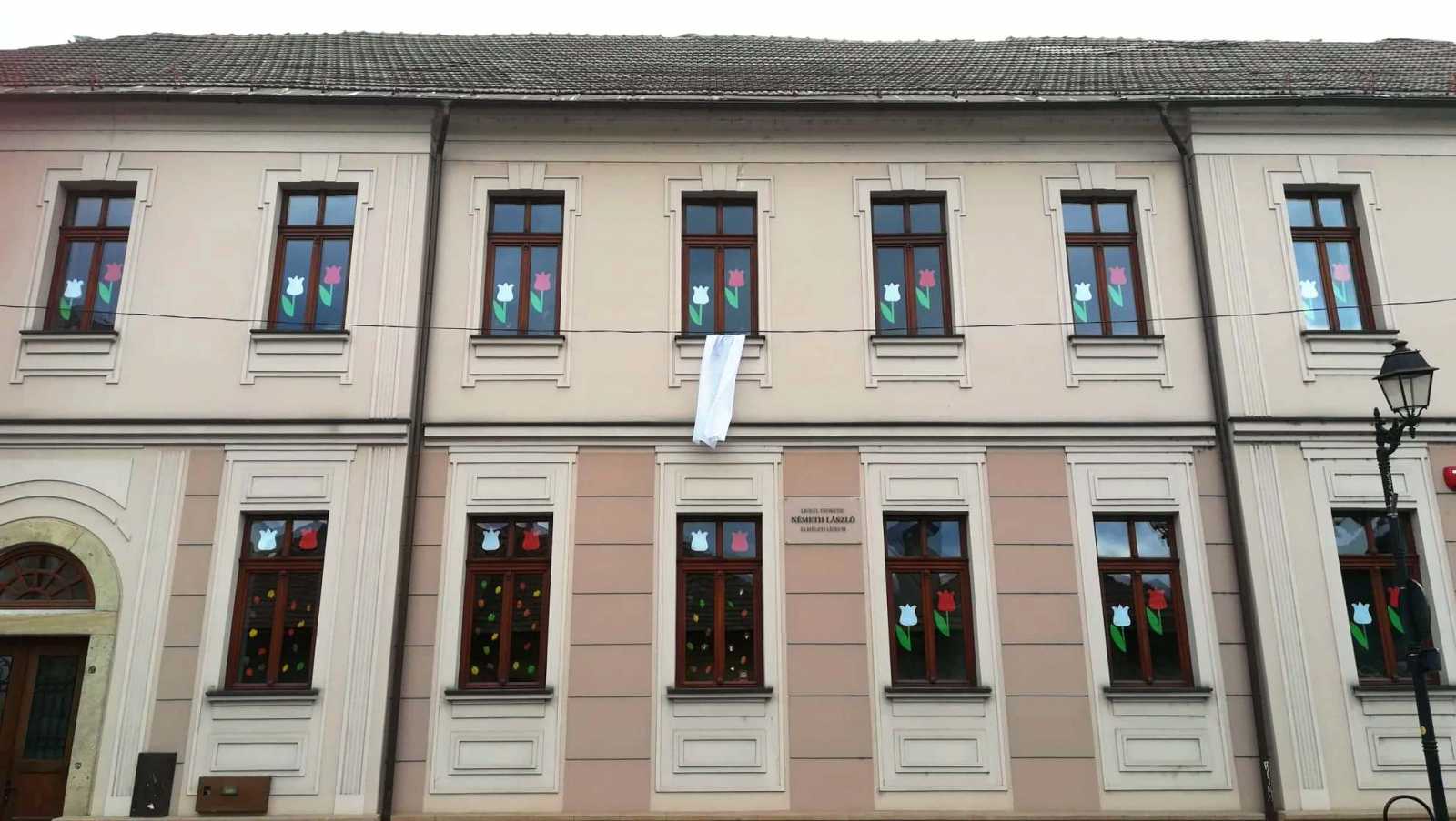 A Németh László Elméleti Líceum épületet Nagybányán | Fotó: Facebook